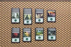 MTG Forest Lot 31x | Mirrodin & Shards of Alara | Multiple Art Variants | Lands - Image 1