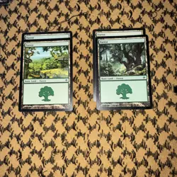 MTG Forest Lot 31x | Mirrodin & Shards of Alara | Multiple Art Variants | Lands - Image 4