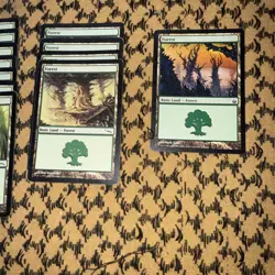 MTG Forest Lot 31x | Mirrodin & Shards of Alara | Multiple Art Variants | Lands - Image 5