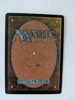 Korean Hermit Druid Stronghold MTG LP Free shipping with tracking - Image 2