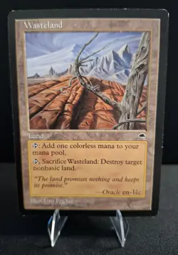 Magic: The Gathering - Wasteland (Tempest) - Image 1