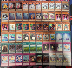 YUGIOH - PENGUIN FROG DECK - SUBSTITOAD, SWAP, DUPE, TREEBORN, NOPENGUIN +MORE - Image 1