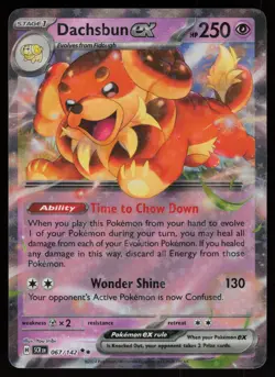 DACHSBUN EX 67/142 DOUBLE RARE STELLAR CROWN POKEMON NM/M - Image 1