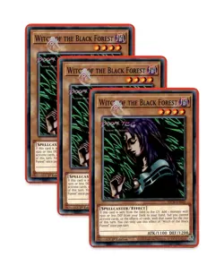 Yugioh! Witch of the Black Forest SDCK-EN024 (Common) 1st Ed 3x - Image 1