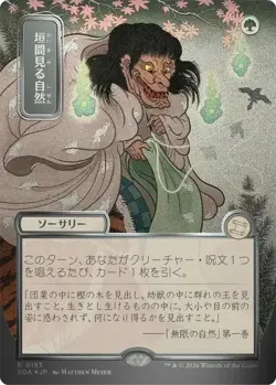 Glimpse of Nature (JP Alternate Art) (Silver Scroll Foil) Secrets of Strixhaven - Image 1