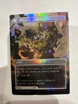 Witch Enchanter / Witch-Blessed Meadow 2655 Foil Secret Lair Witch's Familiar - Image 2