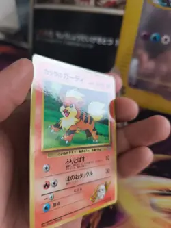 Pokemon Karte Card Blaine's Growlithe Fukano Gym Corocoro Promo japanese Exc - Image 3