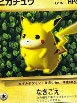 POKEMON Card Japanese Ivy Pikachu Glossy CoroCoro Promo No 025 Ken Sugimori 1996 - Image 4