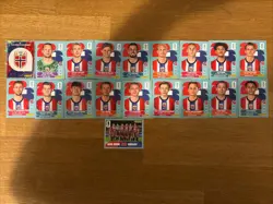 Panini FIFA World Cup 2026 Norway Team Bundle X 19 Stickers Rare ! - Image 1