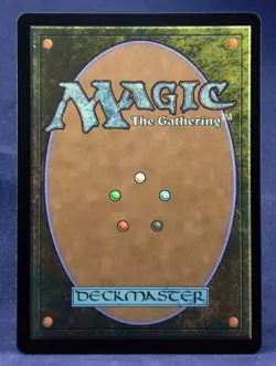 Wakka, Devoted Guardian (Borderless Chocobo Track FOIL) MTG Final Fantasy - NM - Image 4