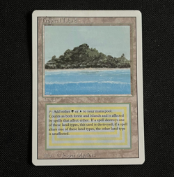 Tropical Island (Revised Edition) - Magic the Gathering (MtG) - NM/M - Image 1