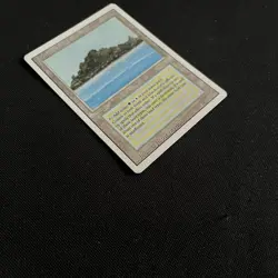 Tropical Island (Revised Edition) - Magic the Gathering (MtG) - NM/M - Image 2