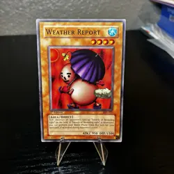 Weather Report MRL-020 Magic Ruler Unlimited - Image 1