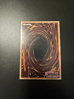 MISPRINT ENLIGHTENMENT PALADIN BOSH-EN047 ULTRA RARE BREAKER OF SHADOW NM YUGIOH - Image 2