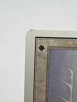 MTG WHITE WARD Unlimited Edition Regular MT+ Magic The Gathering - Image 4
