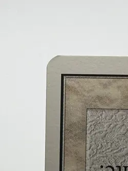MTG WHITE WARD Unlimited Edition Regular MT+ Magic The Gathering - Image 5
