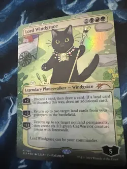 Lord Windgrace Secret Lair Drop Alt Art Borderless Foil #1184 - Image 3