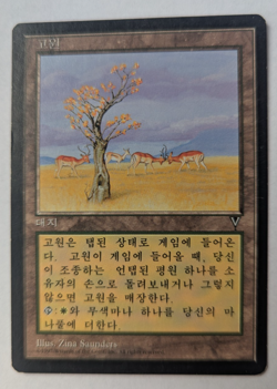 Magic Mtg Korean Foreign Black Border Visions Karoo moderately played - Image 1