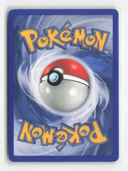 Anorith 27/100 Uncommon Sandstorm Pokemon Moderately Played - Image 2