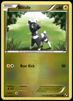Blitzle 40/114 Black & White Reverse Holo Common LP Pokemon 2011 - Image 1