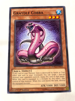 Graydle Cobra - DOCS-EN034 - Common - 1st Edition - NM - YuGiOh! - Image 1