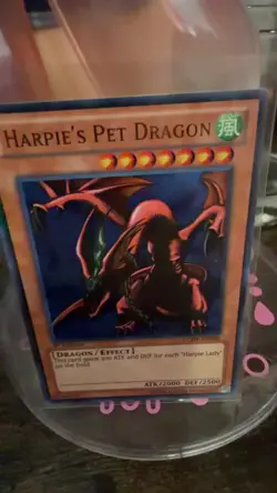 Harpie's Pet Dragon Legendary Collection 4: Joey's World Yu-Gi-Oh 1st Edition NM - Image 1