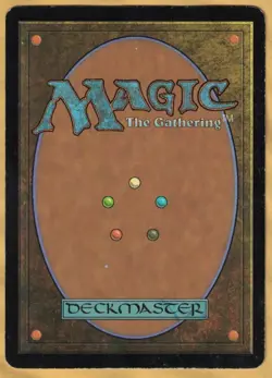 Forest (Unhinged, English, 2004) MTG MP - Image 2
