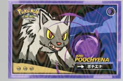 POOCHYENA #261 - Cracked Ice Holo - Flash Edition Safari 2025 - Pokemon Card - Image 1
