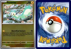Pachirisu 051/132 Mega Evolution Pokemon TCG Reverse Holo C NM - Image 3