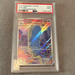 PSA 9 Wailord 162/159 SV09 Journey Together Illustration Rare Holo EN 2025 - Image 1
