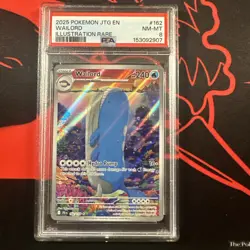 Wailord IR #162/159. Journey Together (2025). ENG. Pokemon TCG. PSA 8 - Image 1