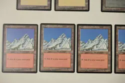 Wizards of the Coast Ice Age 1995 Snow-Covered Basic Lands Lot (21) - Image 2