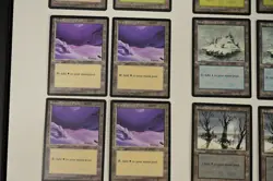 Wizards of the Coast Ice Age 1995 Snow-Covered Basic Lands Lot (21) - Image 5