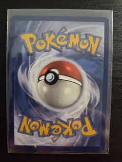 Lileep 145/142 Illustration Rare Stellar Crown Pokemon Near Mint - Image 2