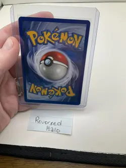 Pokemon EX Ruby & Sapphire REVERSE HOLO Pelipper 19/109 - Image 2