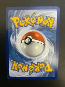 Pokemon M Gengar EX Promo XY166 NM - Image 2