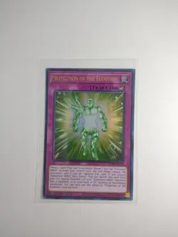 "Protection Of The Elements" 1st Edition BLMR-EN038 - Image 1