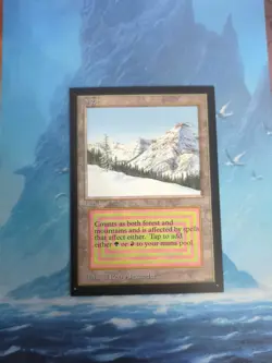 Taiga (CE) Collector's Edition Regular - Image 1