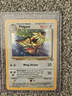 Pokemon TCG Jungle Pidgeot 8/64 Holo Rare 80 HP English 1999 Stage 2 - Image 1