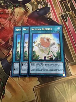 3X Naturia Blessing - MP23-EN204 - Ultra Rare - 1st Edition NM Yugioh - Image 1
