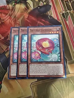 3X Naturia Camellia (MP23-EN171) - Super Rare - 1st Edition NM Yugioh - Image 1
