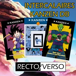 Full Set 5 Intercalaires KANZEN DB Dragon Ball RECTO VERSO - DBZ cartes cards - Image 1