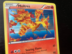 Pokemon Next Destinies Holo Moltres 14/99 Excellent/Near-Mint Condition - Image 3