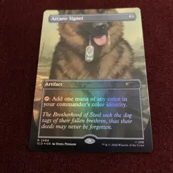 Arcane Signet (2464) Secret Lair Drop Foil - Image 1