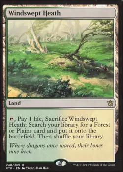 Khans of Tarkir #248 Windswept Heath - Image 1