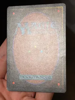 Savannah Beta Edition Rare MAGIC: THE GATHERING - Image 4