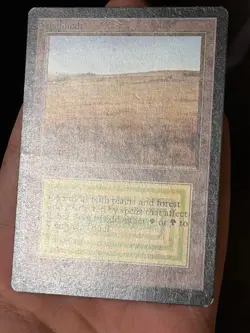 Savannah Beta Edition Rare MAGIC: THE GATHERING - Image 5