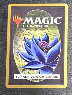 Armageddon (Modern Frame) 30th Anniversary Edition Regular MTG NM Magic Card - Image 2