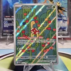 Shuckle 136/132 Illustration Rare ME01: Mega Evolution Pokemon TCG NM - Image 1