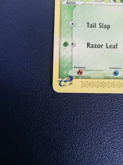 Pokemon Card Treecko 76/109 EX Ruby & Sapphire Common - Image 4